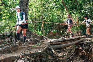 BIB: 
                            <button type="button" onclick="openModal(27558724)" class="btn btn-primary btn-sm float-right btn-popup" data-toggle="modal" data-target=".modal-high-quality">
                        <i class="fas fa-shopping-cart"></i> Add to Cart
                    </button>
                                            <button type="button" onclick="isThisMe(27558724, true)" class="btn btn-success btn-sm float-right btn-popup btn-isme hidden" data-toggle="tooltip" data-placement="bottom" title="นี่คือรูปของคุณใช่ไหม คลิกที่นี่เพื่อเอาเข้าอัลบั้ม">
                        <i class="fas fa-plus"></i> Add to album
                    </button>
                    <button type="button" onclick="isThisMe(27558724, false)" class="btn btn-warning btn-sm float-right btn-popup btn-isnotme hidden">
                        <i class="fas fa-ban"></i> Remove from album
                    </button>